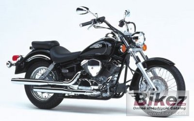 2004 yamaha xvs 125 dragstar photo
